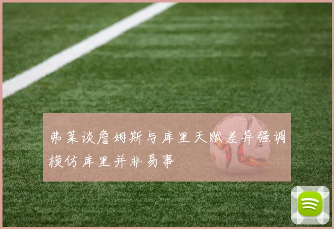 弗莱谈詹姆斯与库里天赋差异强调模仿库里并非易事