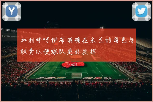 加利呼吁伊布明确在米兰的角色与职责以便球队更好发挥
