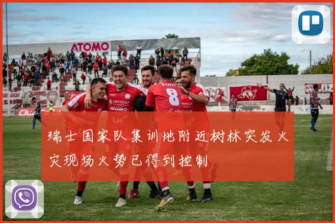 瑞士国家队集训地附近树林突发火灾现场火势已得到控制