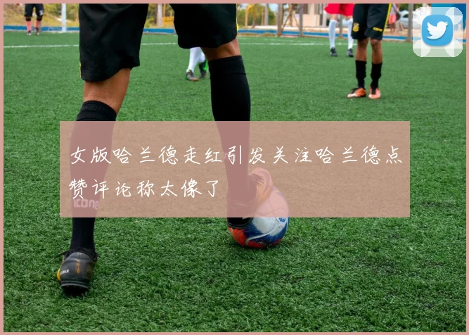 女版哈兰德走红引发关注哈兰德点赞评论称太像了