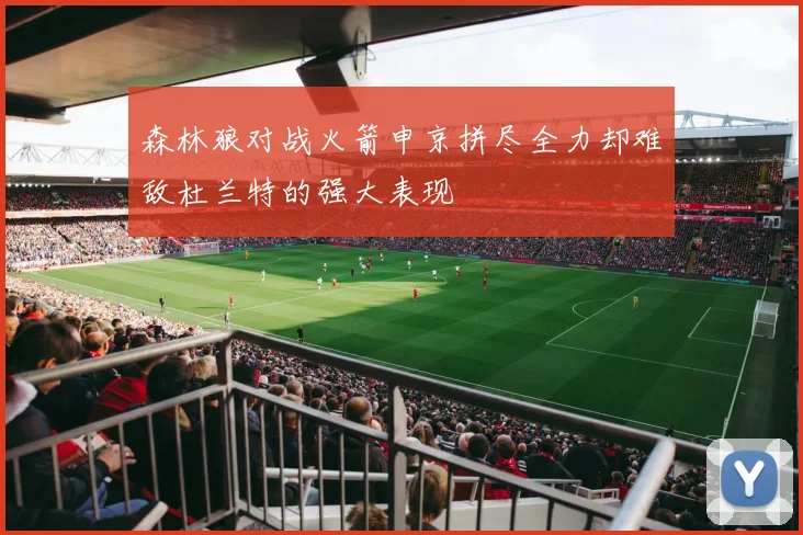 森林狼对战火箭申京拼尽全力却难敌杜兰特的强大表现